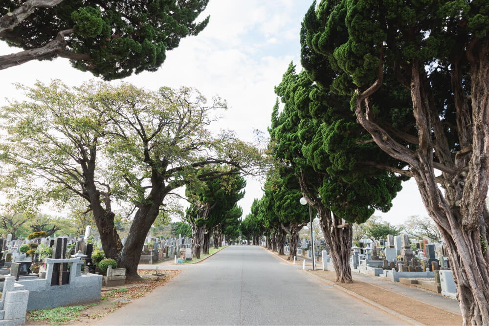 千葉市営桜木霊園