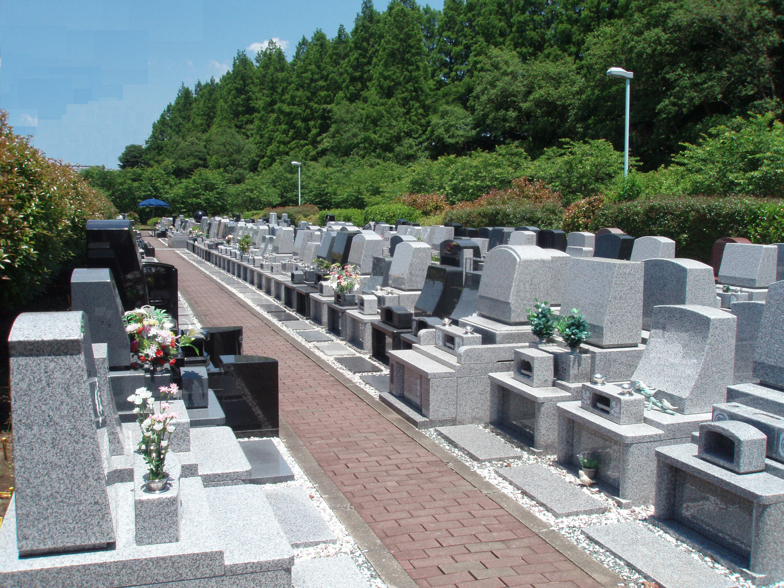 一般墓地